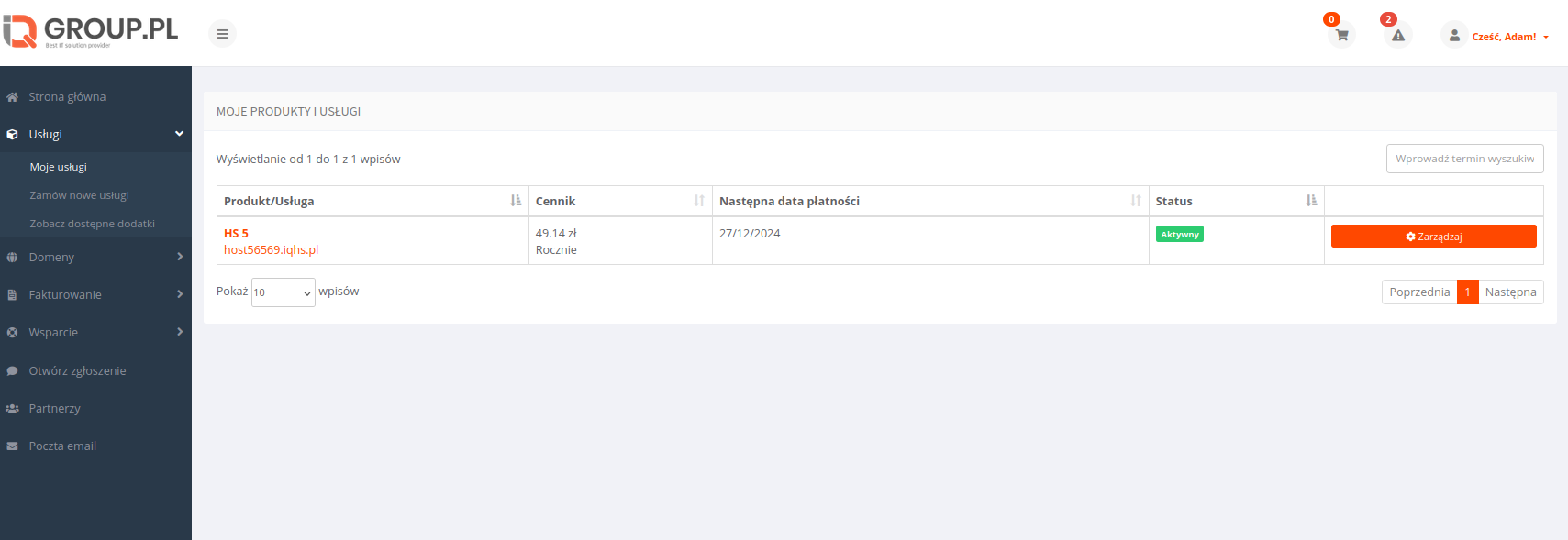 Sekcja "Usługi Hostingowe" w Panelu Klienta z listą usług