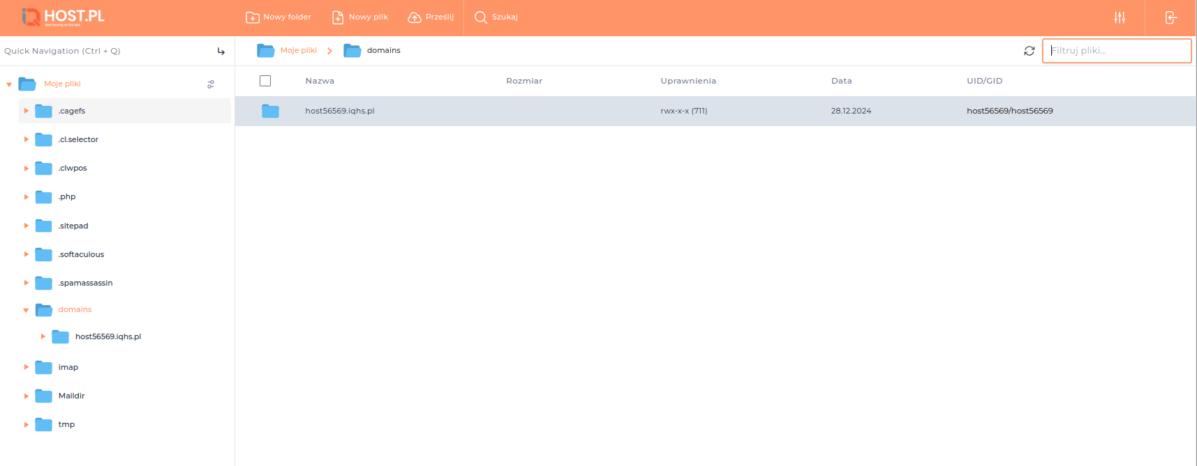 Interfejs Menedżera Plików w DirectAdmin - opcje zarządzania plikami