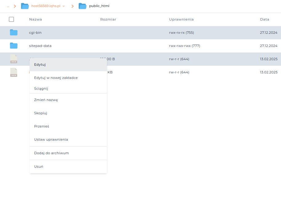 Edytor tekstu w Menedżerze Plików DirectAdmin